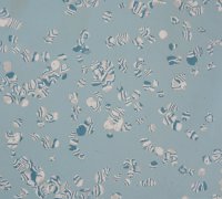 <b>橡膠地板用什么膠水鋪裝最好</b>